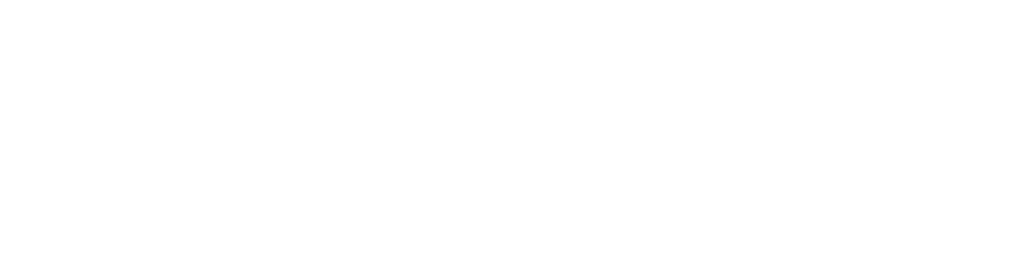 Sales Leverage logo